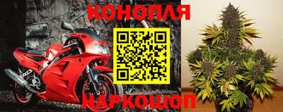 марихуана Кингисепп