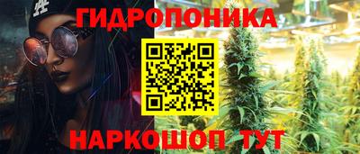 apvp Кимры