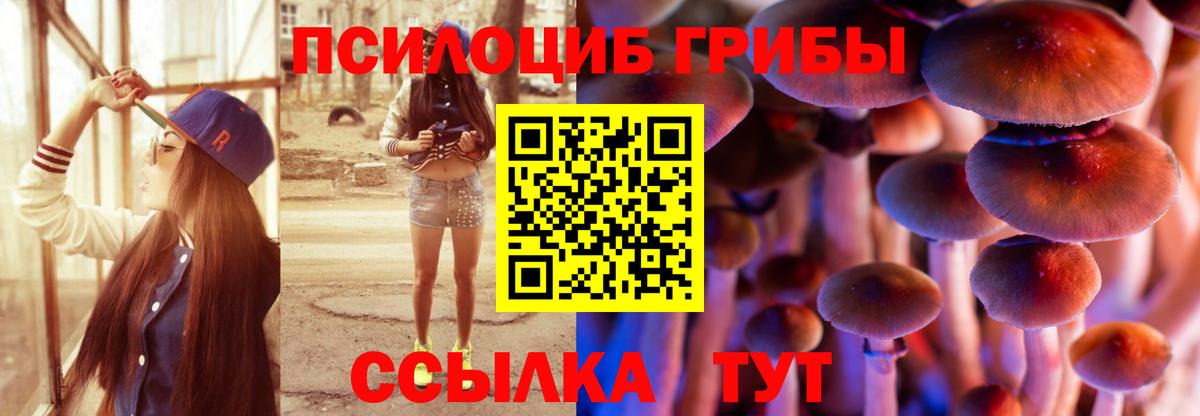 продажа наркотиков  Вход с VPN  Галлюциногенные грибы мицелий  Ярцево  Галлюциногенные грибы GOLDEN TEACHER 